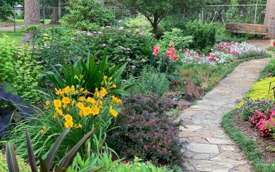 Ogrodnicze Przemiany – Przebudowa Przestrzeni Dzięki Usługom Ogrodniczym